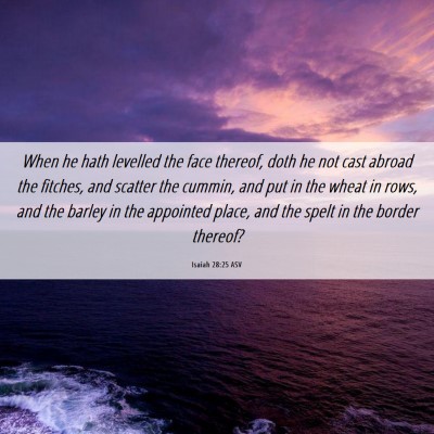 Picture 06 - Isaiah 28:25 ASV - When he hath levelled the face thereof, doth he - Bible Verse Picture