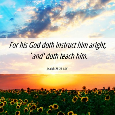 Picture 06 - Isaiah 28:26 ASV - For his God doth instruct him aright, `and' doth - Bible Verse Picture