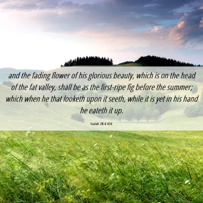 Picture 06 - Isaiah 28:4 ASV - and the fading flower of his glorious beauty, - Bible Verse Picture