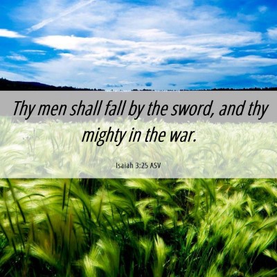 Picture 06 - Isaiah 3:25 ASV - Thy men shall fall by the sword, and thy mighty - Bible Verse Picture