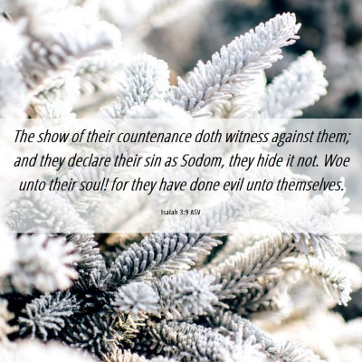Picture 06 - Isaiah 3:9 ASV - The show of their countenance doth witness - Bible Verse Picture