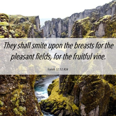 Picture 06 - Isaiah 32:12 ASV - They shall smite upon the breasts for the - Bible Verse Picture