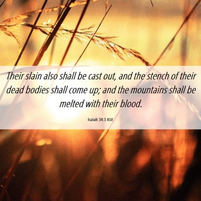 Picture 06 - Isaiah 34:3 ASV - Their slain also shall be cast out, and the - Bible Verse Picture