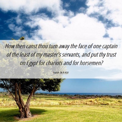 Picture 06 - Isaiah 36:9 ASV - How then canst thou turn away the face of one - Bible Verse Picture