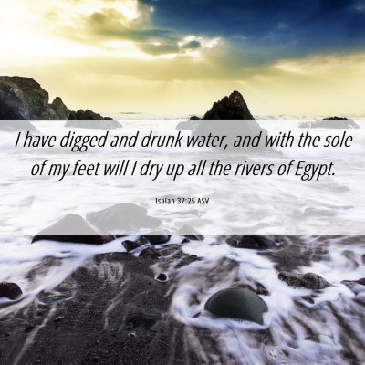 Picture 06 - Isaiah 37:25 ASV - I have digged and drunk water, and with the sole - Bible Verse Picture