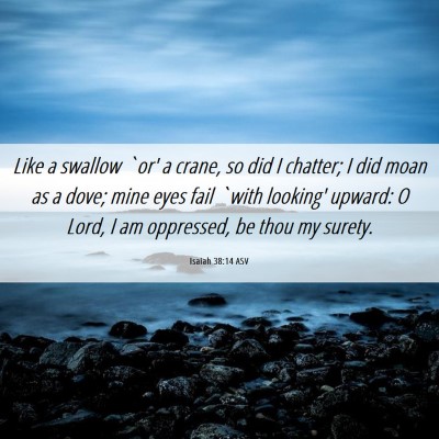 Picture 06 - Isaiah 38:14 ASV - Like a swallow `or' a crane, so did I chatter; I - Bible Verse Picture