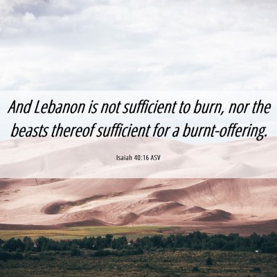 Picture 06 - Isaiah 40:16 ASV - And Lebanon is not sufficient to burn, nor the - Bible Verse Picture