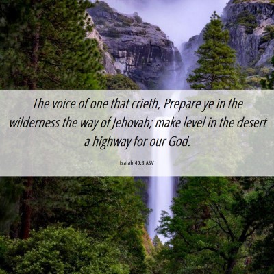 Picture 06 - Isaiah 40:3 ASV - The voice of one that crieth, Prepare ye in the - Bible Verse Picture
