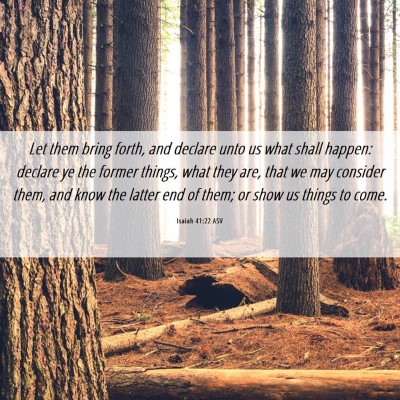 Picture 06 - Isaiah 41:22 ASV - Let them bring forth, and declare unto us what - Bible Verse Picture