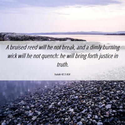 Picture 06 - Isaiah 42:3 ASV - A bruised reed will he not break, and a dimly - Bible Verse Picture
