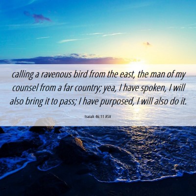 Picture 06 - Isaiah 46:11 ASV - calling a ravenous bird from the east, the man of - Bible Verse Picture
