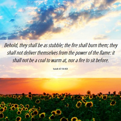 Picture 06 - Isaiah 47:14 ASV - Behold, they shall be as stubble; the fire shall - Bible Verse Picture