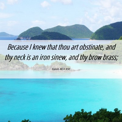 Picture 06 - Isaiah 48:4 ASV - Because I knew that thou art obstinate, and thy - Bible Verse Picture