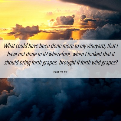 Picture 06 - Isaiah 5:4 ASV - What could have been done more to my vineyard, - Bible Verse Picture