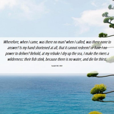 Picture 06 - Isaiah 50:2 ASV - Wherefore, when I came, was there no man? when I - Bible Verse Picture