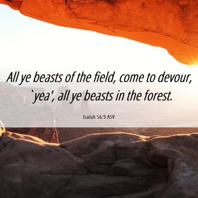 Picture 06 - Isaiah 56:9 ASV - All ye beasts of the field, come to devour, - Bible Verse Picture