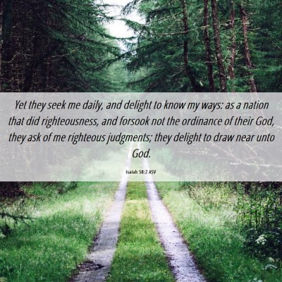 Picture 06 - Isaiah 58:2 ASV - Yet they seek me daily, and delight to know my - Bible Verse Picture
