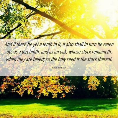 Picture 06 - Isaiah 6:13 ASV - And if there be yet a tenth in it, it also shall - Bible Verse Picture