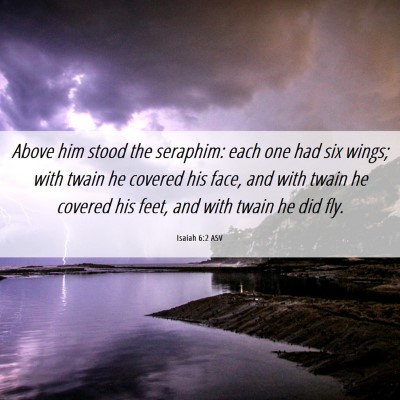Picture 06 - Isaiah 6:2 ASV - Above him stood the seraphim: each one had six - Bible Verse Picture