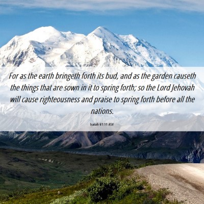 Picture 06 - Isaiah 61:11 ASV - For as the earth bringeth forth its bud, and as - Bible Verse Picture