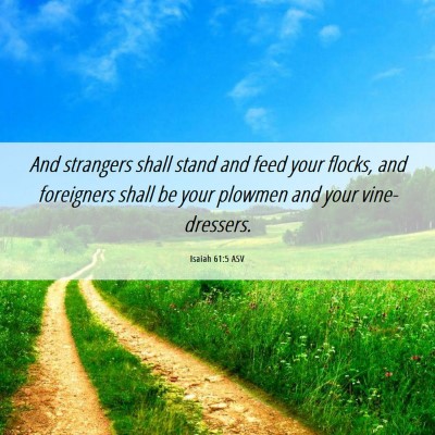 Picture 06 - Isaiah 61:5 ASV - And strangers shall stand and feed your flocks, - Bible Verse Picture