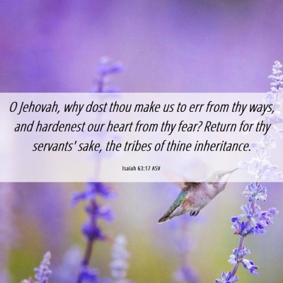 Picture 06 - Isaiah 63:17 ASV - O Jehovah, why dost thou make us to err from thy - Bible Verse Picture