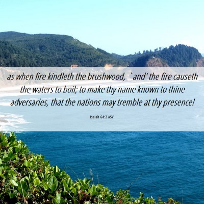 Picture 06 - Isaiah 64:2 ASV - as when fire kindleth the brushwood, `and' the - Bible Verse Picture