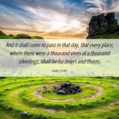 Picture 06 - Isaiah 7:23 ASV - And it shall come to pass in that day, that every - Bible Verse Picture