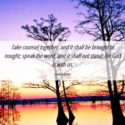 Picture 06 - Isaiah 8:10 ASV - Take counsel together, and it shall be brought to - Bible Verse Picture