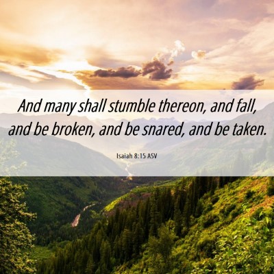 Picture 06 - Isaiah 8:15 ASV - And many shall stumble thereon, and fall, and be - Bible Verse Picture