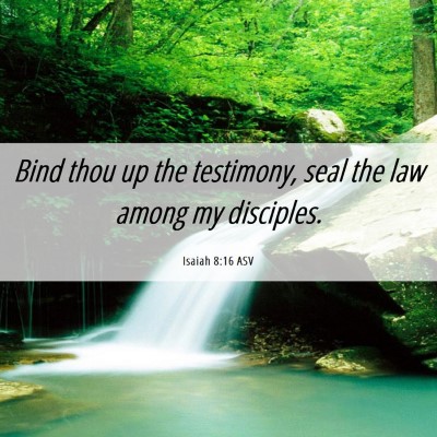 Picture 06 - Isaiah 8:16 ASV - Bind thou up the testimony, seal the law among my - Bible Verse Picture