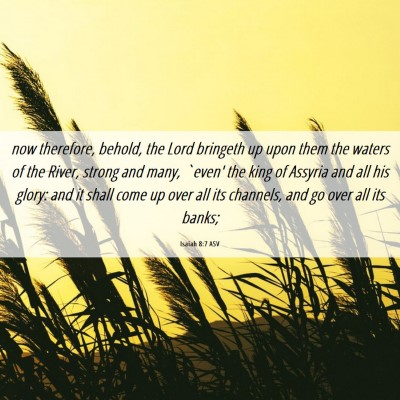 Picture 06 - Isaiah 8:7 ASV - now therefore, behold, the Lord bringeth up upon - Bible Verse Picture