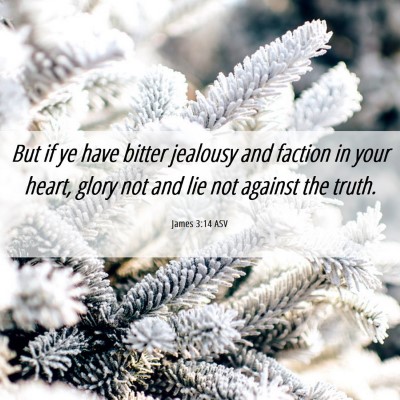 Picture 06 - James 3:14 ASV - But if ye have bitter jealousy and faction in - Bible Verse Picture