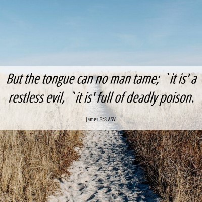 Picture 06 - James 3:8 ASV - But the tongue can no man tame; `it is' a - Bible Verse Picture