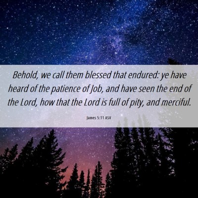 Picture 06 - James 5:11 ASV - Behold, we call them blessed that endured: ye - Bible Verse Picture