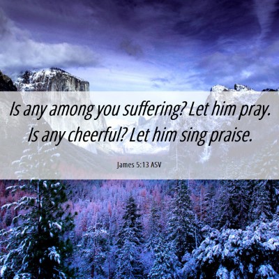 Picture 06 - James 5:13 ASV - Is any among you suffering? Let him pray. Is any - Bible Verse Picture
