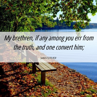 Picture 06 - James 5:19 ASV - My brethren, if any among you err from the truth, - Bible Verse Picture