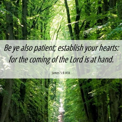Picture 06 - James 5:8 ASV - Be ye also patient; establish your hearts: for - Bible Verse Picture