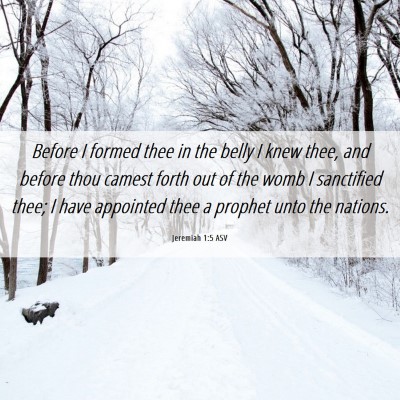 Picture 06 - Jeremiah 1:5 ASV - Before I formed thee in the belly I knew thee, - Bible Verse Picture