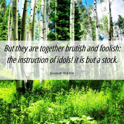 Picture 06 - Jeremiah 10:8 ASV - But they are together brutish and foolish: the - Bible Verse Picture