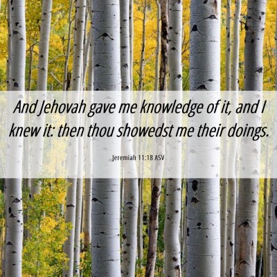 Picture 06 - Jeremiah 11:18 ASV - And Jehovah gave me knowledge of it, and I knew - Bible Verse Picture