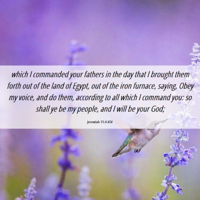 Picture 06 - Jeremiah 11:4 ASV - which I commanded your fathers in the day that I - Bible Verse Picture
