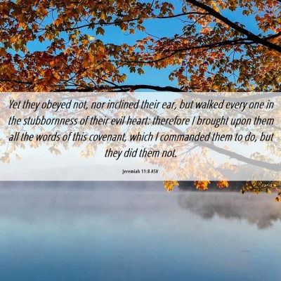 Picture 06 - Jeremiah 11:8 ASV - Yet they obeyed not, nor inclined their ear, but - Bible Verse Picture