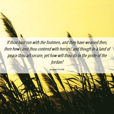 Picture 06 - Jeremiah 12:5 ASV - If thou hast run with the footmen, and they have - Bible Verse Picture