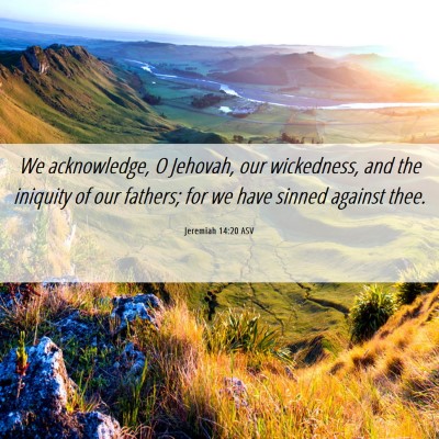 Picture 06 - Jeremiah 14:20 ASV - We acknowledge, O Jehovah, our wickedness, and - Bible Verse Picture