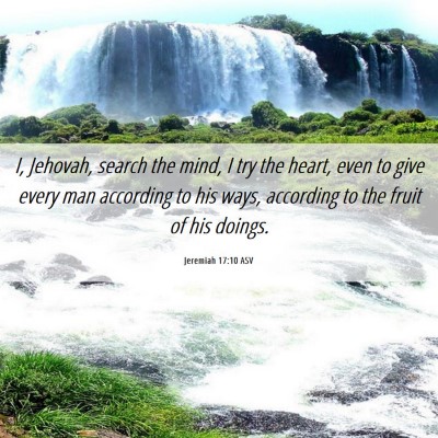 Picture 06 - Jeremiah 17:10 ASV - I, Jehovah, search the mind, I try the heart, - Bible Verse Picture