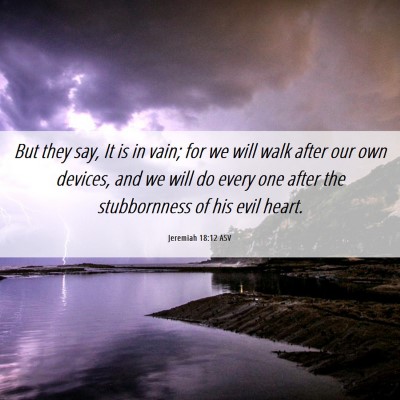 Picture 06 - Jeremiah 18:12 ASV - But they say, It is in vain; for we will walk - Bible Verse Picture