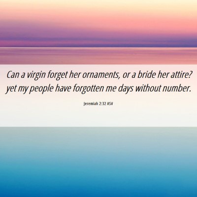 Picture 06 - Jeremiah 2:32 ASV - Can a virgin forget her ornaments, or a bride her - Bible Verse Picture