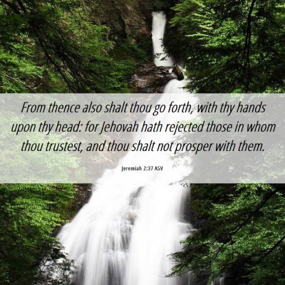 Picture 06 - Jeremiah 2:37 ASV - From thence also shalt thou go forth, with thy - Bible Verse Picture