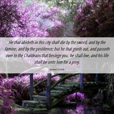 Picture 06 - Jeremiah 21:9 ASV - He that abideth in this city shall die by the - Bible Verse Picture